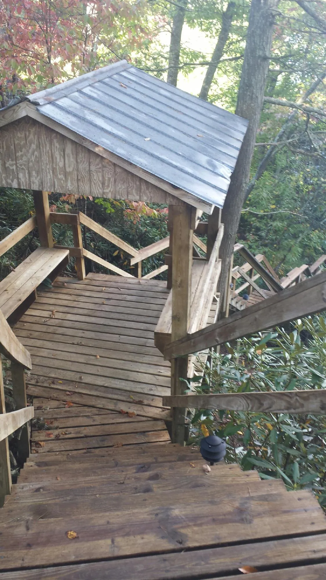 Metal roofed shelter over wooden steps on a wooded walkway — Skylight Repair & Installation work by our crew in Bunn