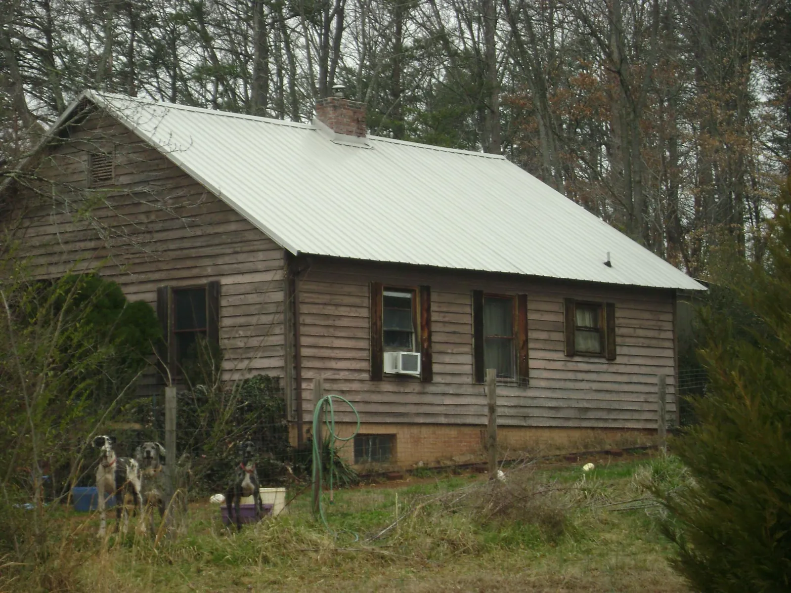 White metal roof on an old wood sided farmhouse, from a Asphalt Shingle Roof Repair job in Bunn